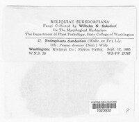 Image Associated With the Occurence